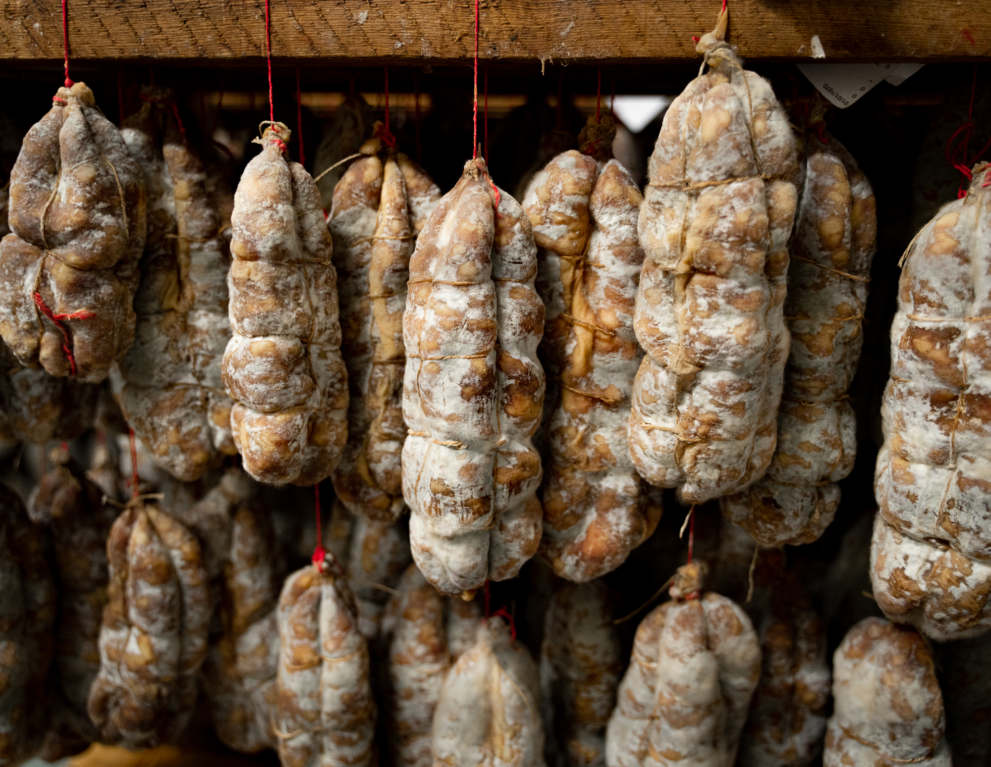 Cochon d'Angélique